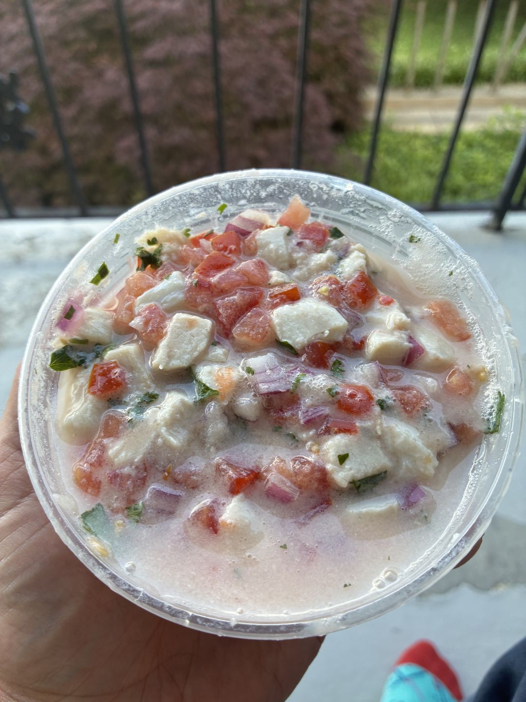 Mahi Mahi Ceviche